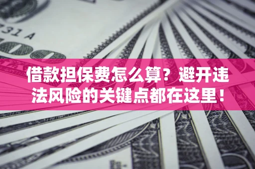 济南借款担保费怎么算？避开违法风险的关键点都在这里！