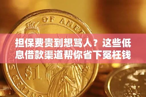 济南担保费贵到想骂人？这些低息借款渠道帮你省下冤枉钱