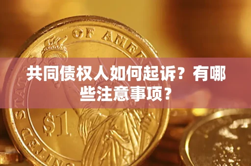 济南共同债权人如何起诉？有哪些注意事项？